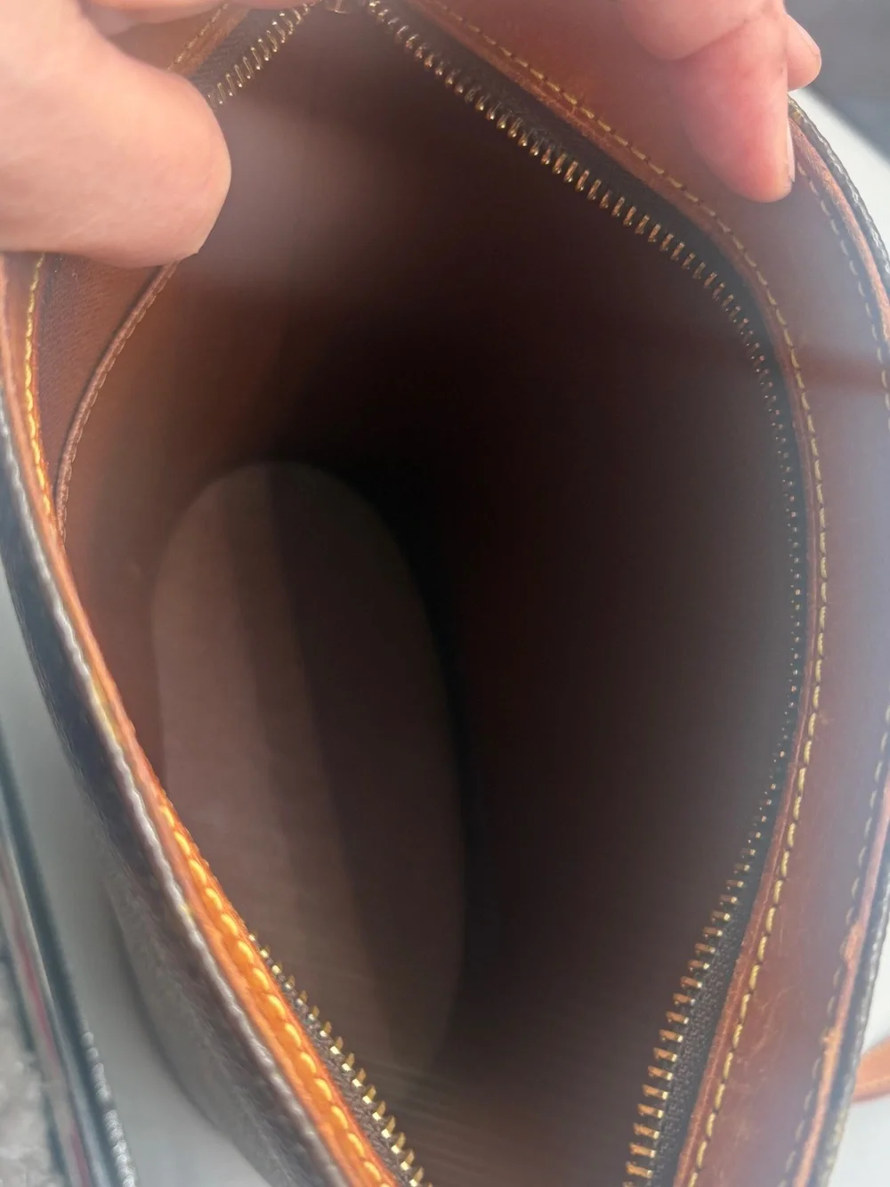 Louis Vuitton iconic louis